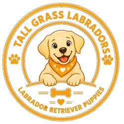 Tall Grass Labradors