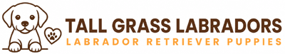 Tall Grass Labradors1